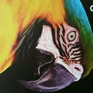 Meet your Posher, Beth