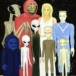 Meet your Posher, Alejandro