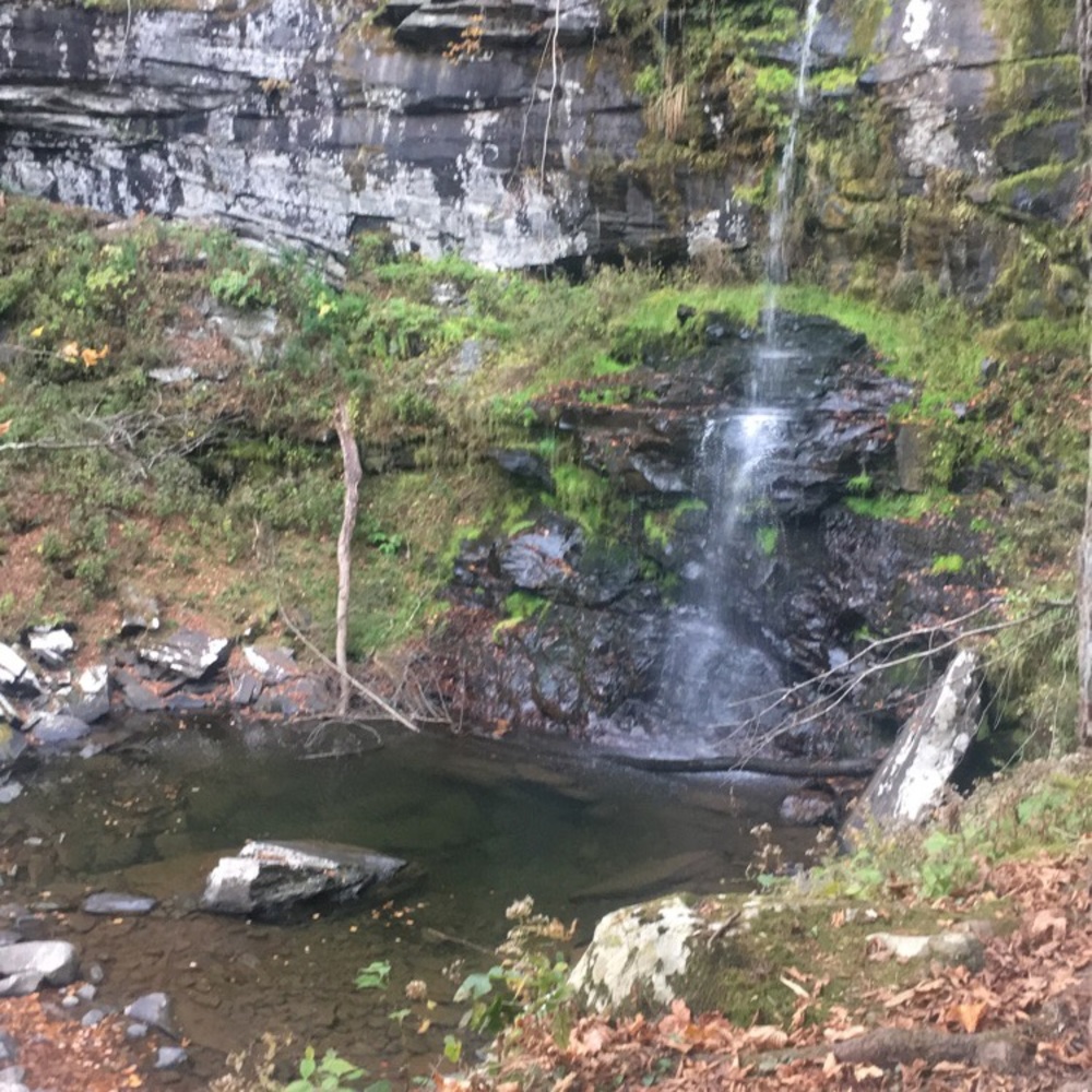 Meet your Posher, Yanelly