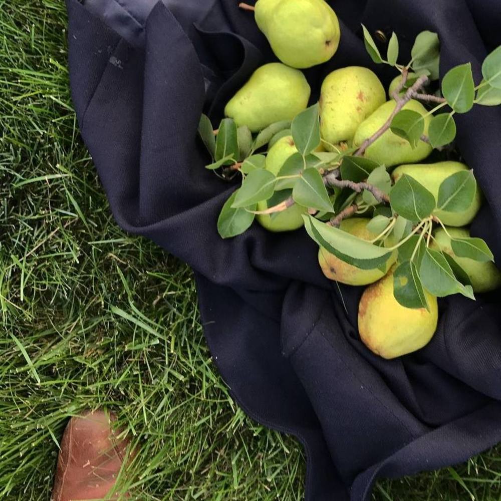 Meet your Posher, Jordan