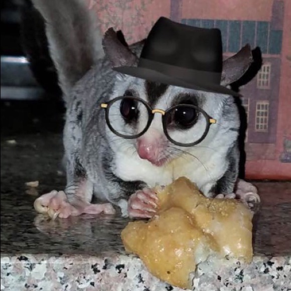 Meet your Posher, Mary - Picture 4 of 6