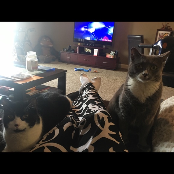 Meet your Posher, Mary - Picture 5 of 6