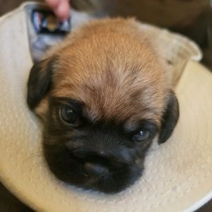 Meet your Posher, Marisol