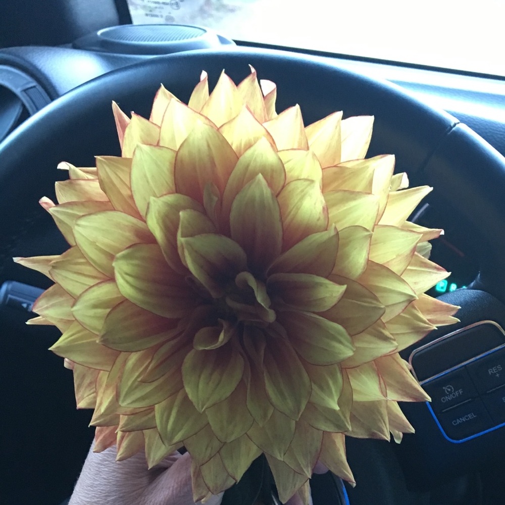 Meet your Posher, Meg