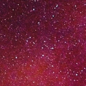 Meet your Posher, Logan