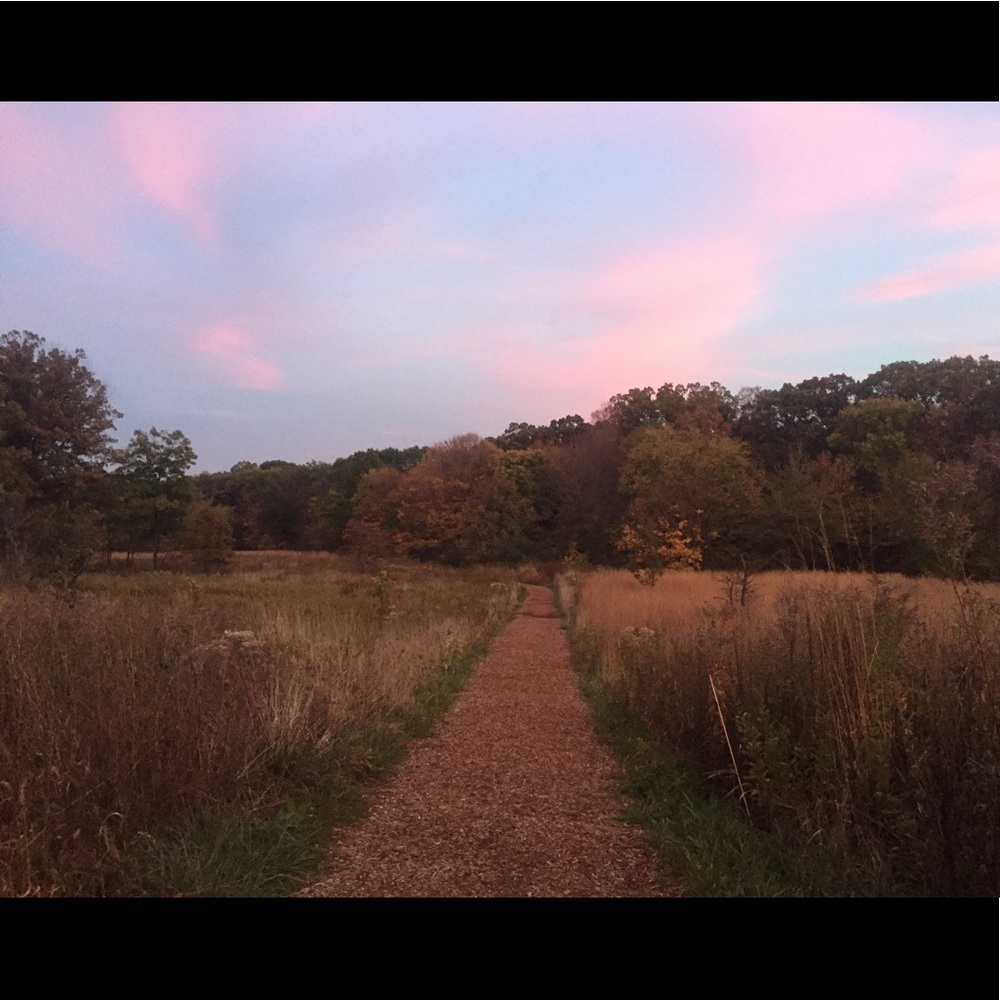 Meet your Posher, Ally