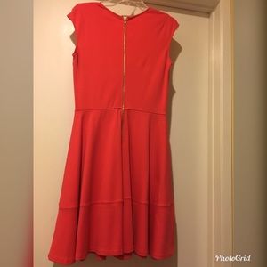 Hibiscus Bloom Bar III Dress