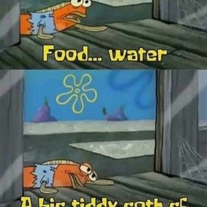 Meet your Posher, Caleb