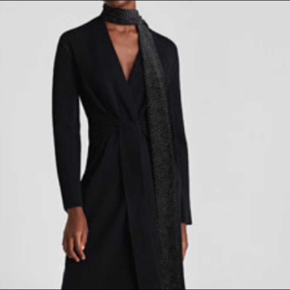 Zara Velvet Extra Long Scarf. NWT!