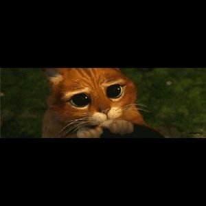 Meet your Posher, Deandra