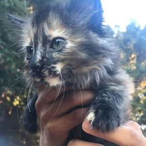 Meet your Posher, Bridgette