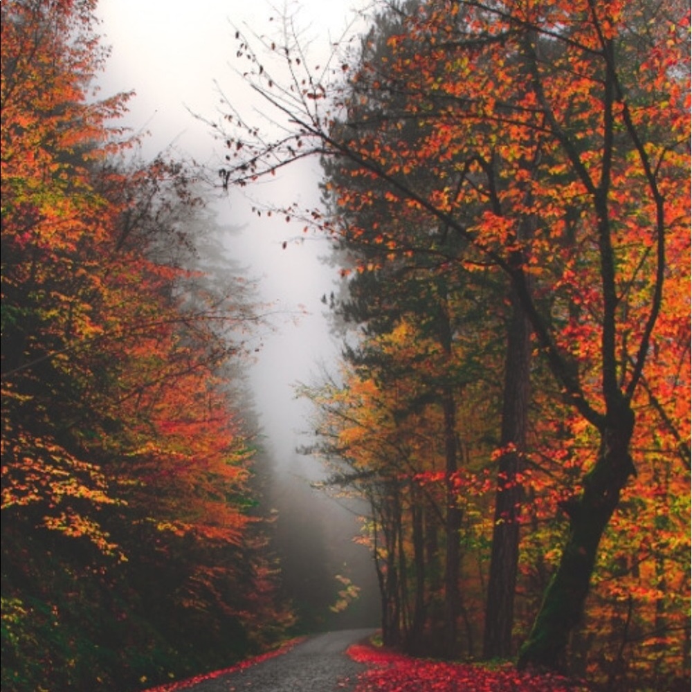 Meet your Posher, Tori