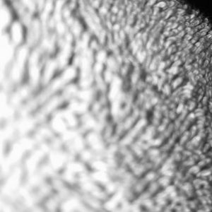 Meet your Posher, Jada