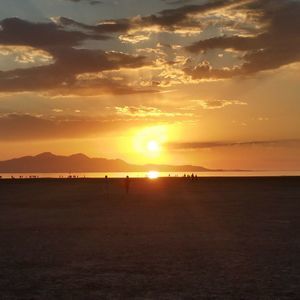 Meet your Posher, Robby