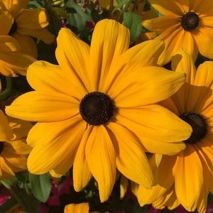 Meet your Posher, Leah