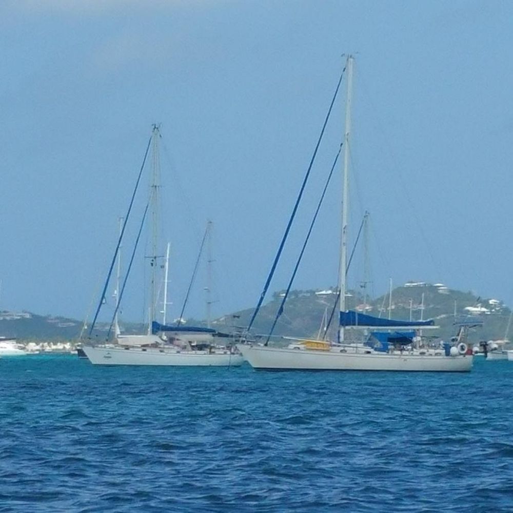 Meet your Posher, Patricia