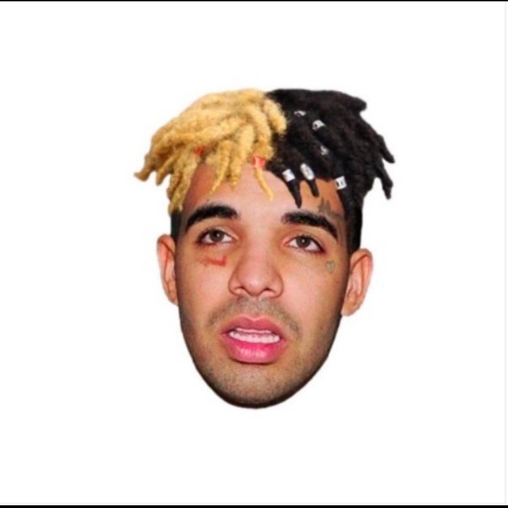 Meet your Posher, Owen