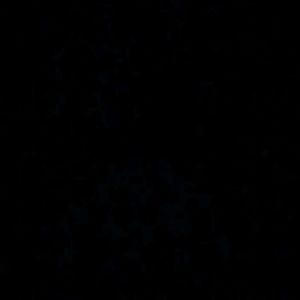 Meet your Posher, Mason