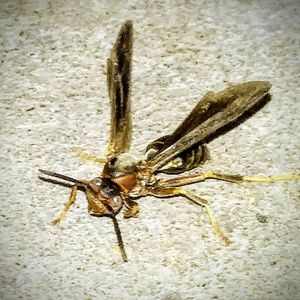 Meet your Posher, Nathan