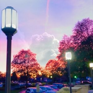 Meet your Posher, Ben