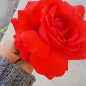 Meet your Posher, Sarah