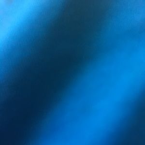 Meet your Posher, Will