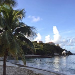 Meet your Posher, Dennis