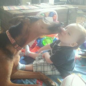 Meet your Posher, Ryan