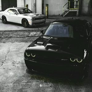 Meet your Posher, Ivan