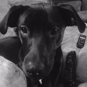 Meet your Posher, Joseph