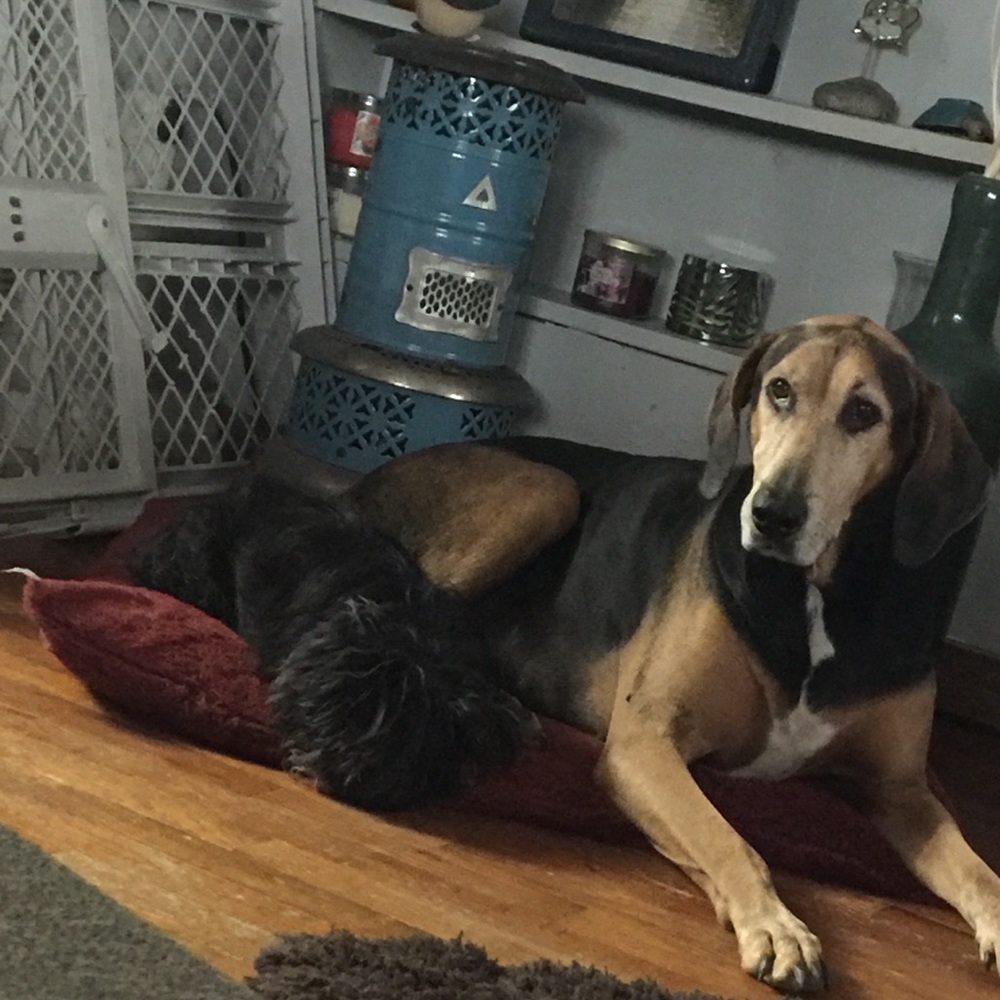 Meet your Posher, Regina