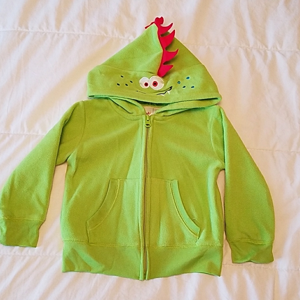 Dinosaur hoodie