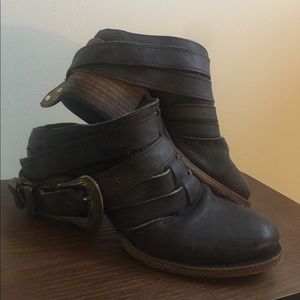 Freebird by Steven Lucky Mule 🌻