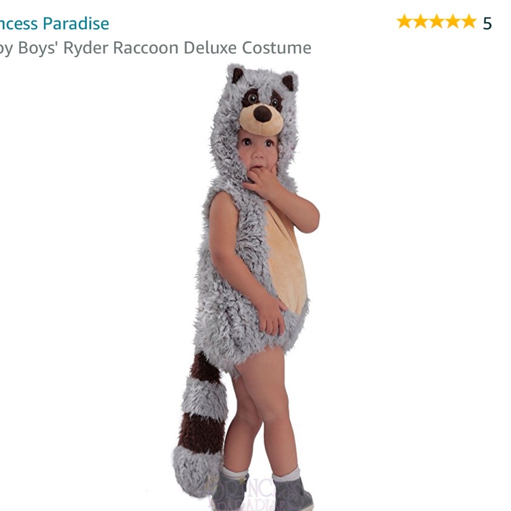 Raccoon costume 12-18 months