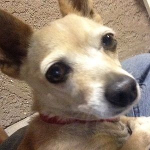 Meet your Posher, Jose