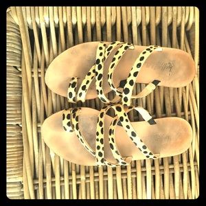 Sarie Cheetah-print Calf-hair sandals