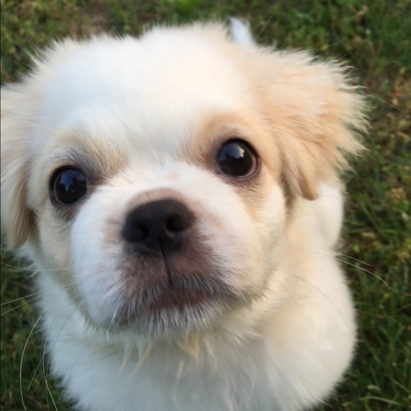 Meet your Posher, Melanie - Picture 9 of 16