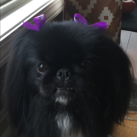 Meet your Posher, Melanie - Picture 4 of 16