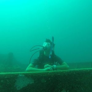 Meet your Posher, Dietrich