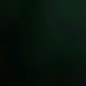 Meet your Posher, Miguel