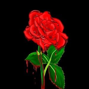 Meet your Posher, Roy