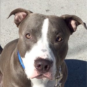 Meet your Posher, Matt