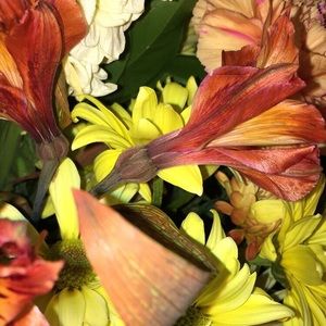 Meet your Posher, Dani