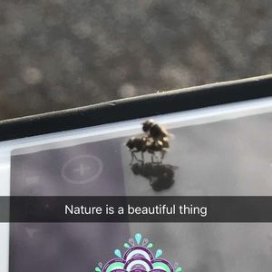 Meet your Posher, Jack