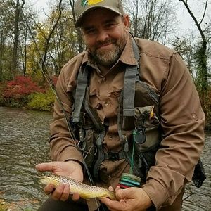 Meet your Posher, Anthony