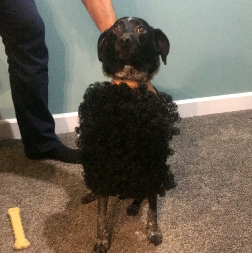 Meet your Posher, Angie