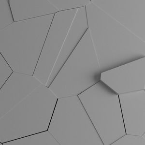 Meet your Posher, Brayan