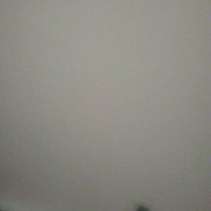 Meet your Posher, Deanna