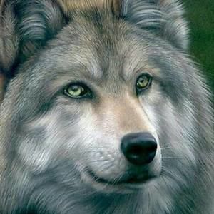 Meet your Posher, Janet