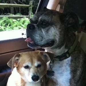 Meet your Posher, Jeff